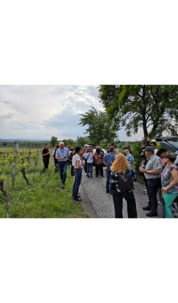 WEINWANDERUNG 2026